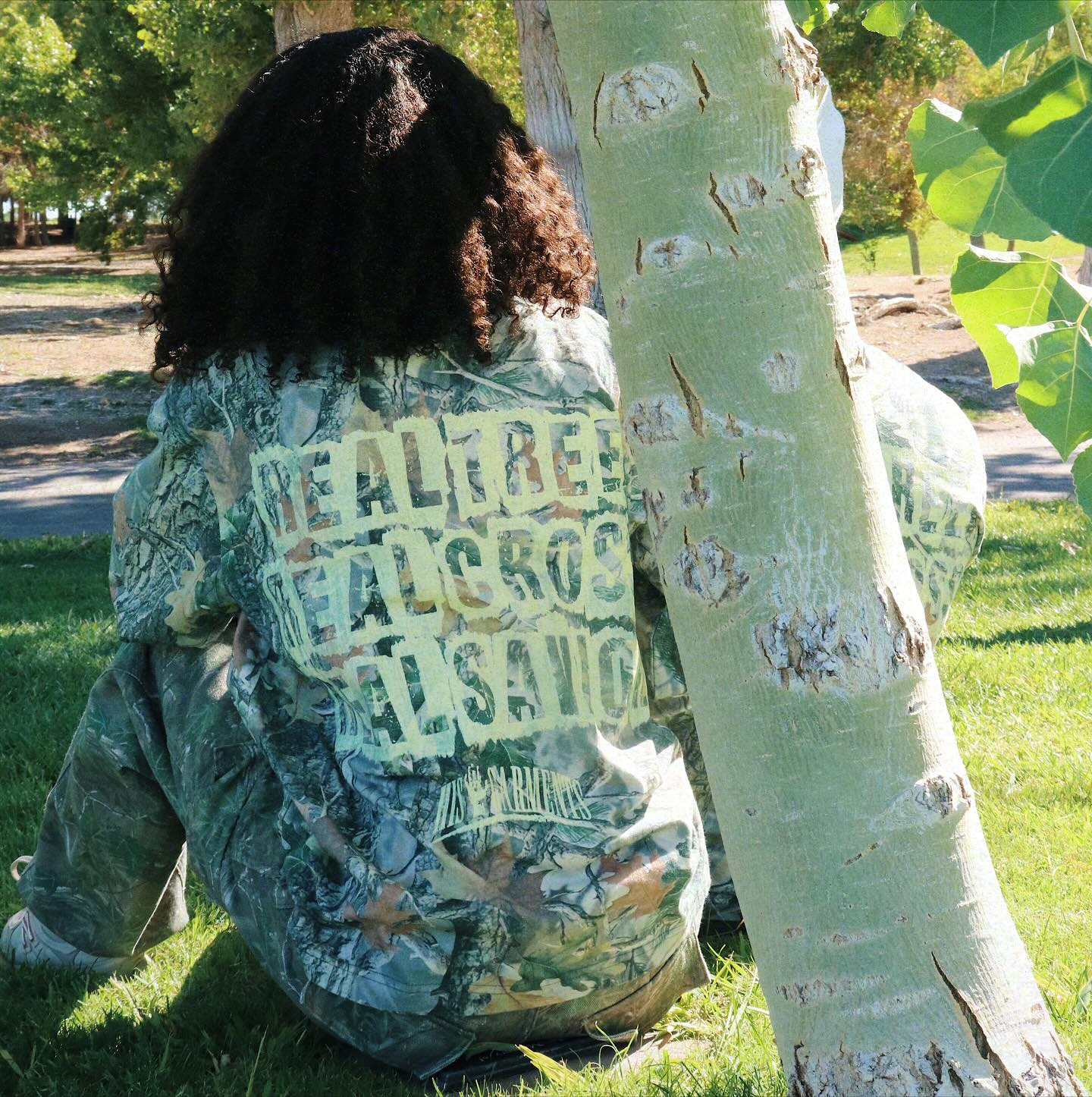 "Hidden In Plain Sight"